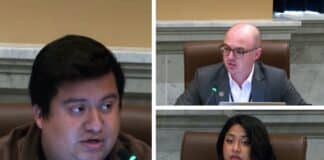 Minneapolis City Council