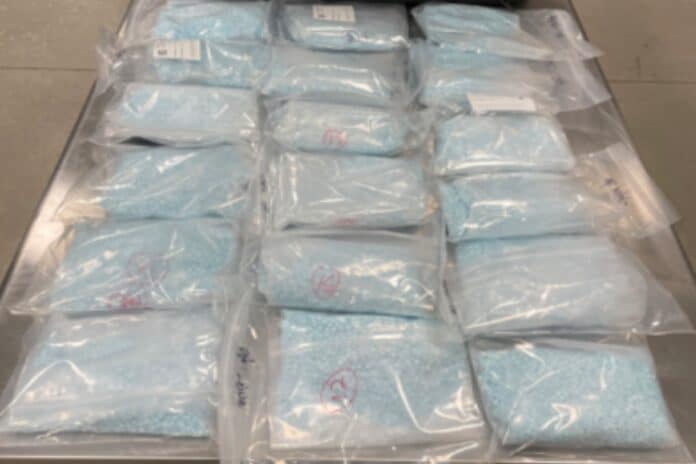 fentanyl (1)
