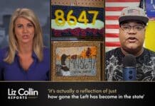 Liz Collin Reports