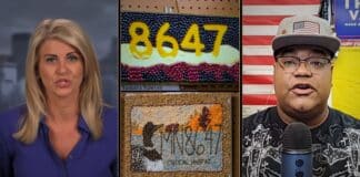Liz Collin Reports