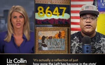 Liz Collin Reports