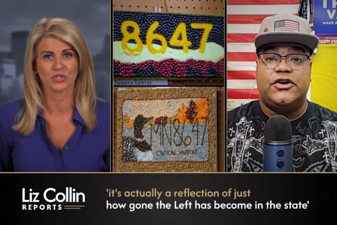 Liz Collin Reports