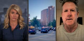 Liz Collin Reports