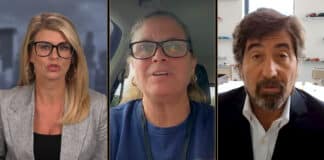 Liz Collin Reports