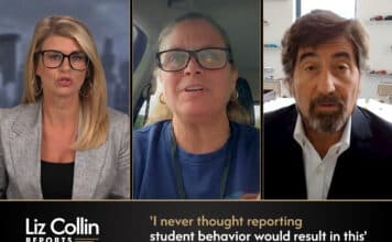 Liz Collin Reports
