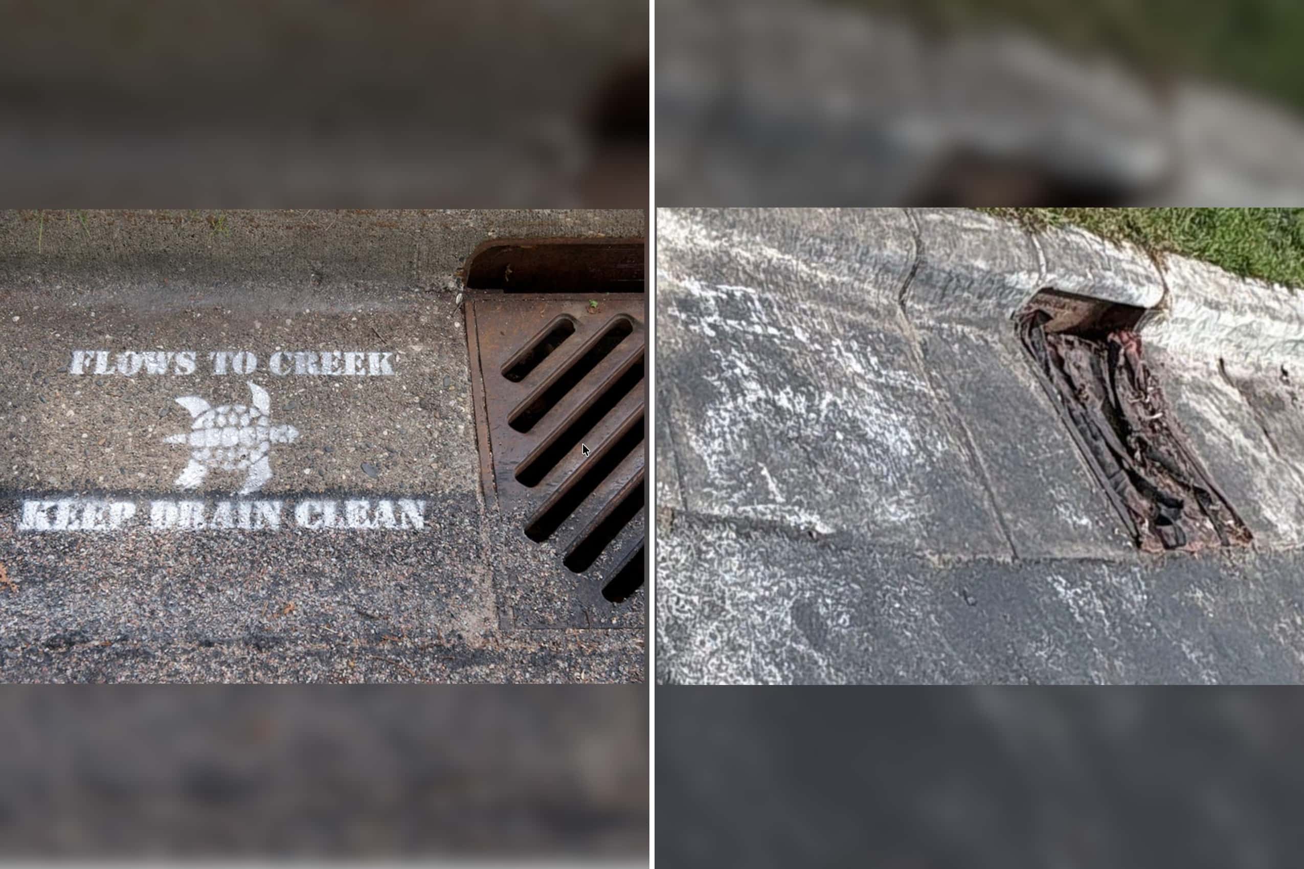 Cooking oil in storm drain
