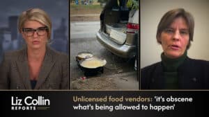 Liz Collin Reports