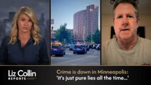 Liz Collin Reports