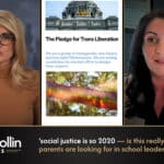 Liz Collin Reports