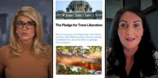 Liz Collin Reports