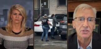Liz Collin Reports