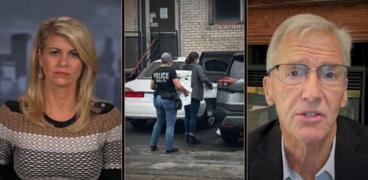 Liz Collin Reports