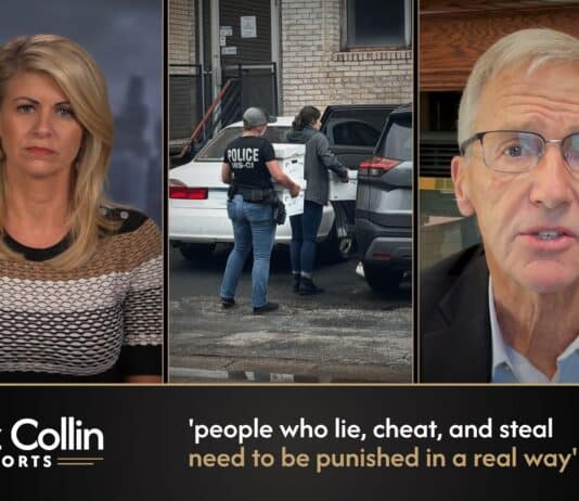 Liz Collin Reports
