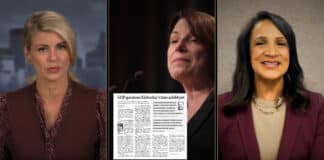 Liz Collin Reports
