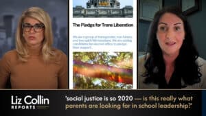 Liz Collin Reports