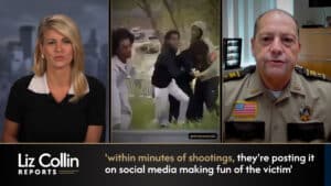 Liz Collin Reports